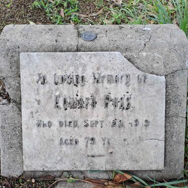 P - Vanne :: Surnames - P