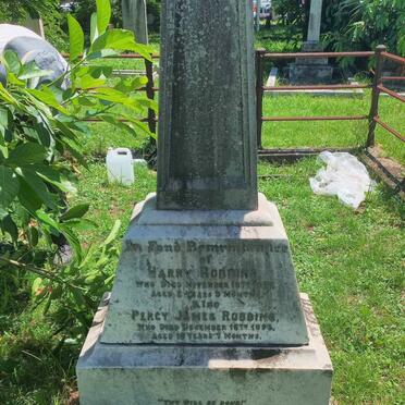 ROBBINS Harry 1877 :: ROBBINS Percy James -1893