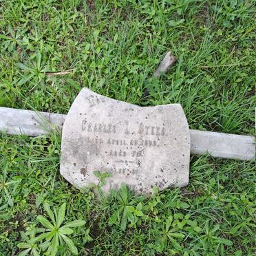 STEED Charles L. -1898 :: STEED Frank 