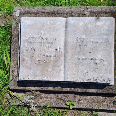 WILLMOTT Sarah -1921