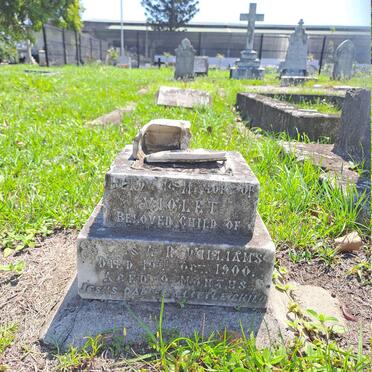 WILLIAMS Violet -1900