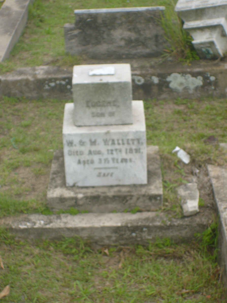 WALLETT Eugene -1891