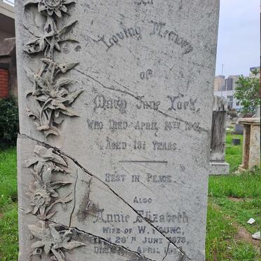 YORK Mary Jane -1901 :: YOUNG Annie Elizabeth 1878-191? :: YORK Bridget Mary -1921 :: YOUNG William John -1955 _1
