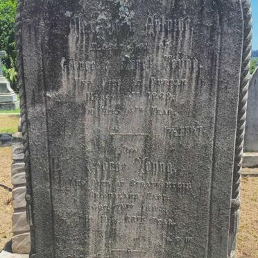 YOUNG George -1884 :: YOUNG Alex John Antoine -18?9