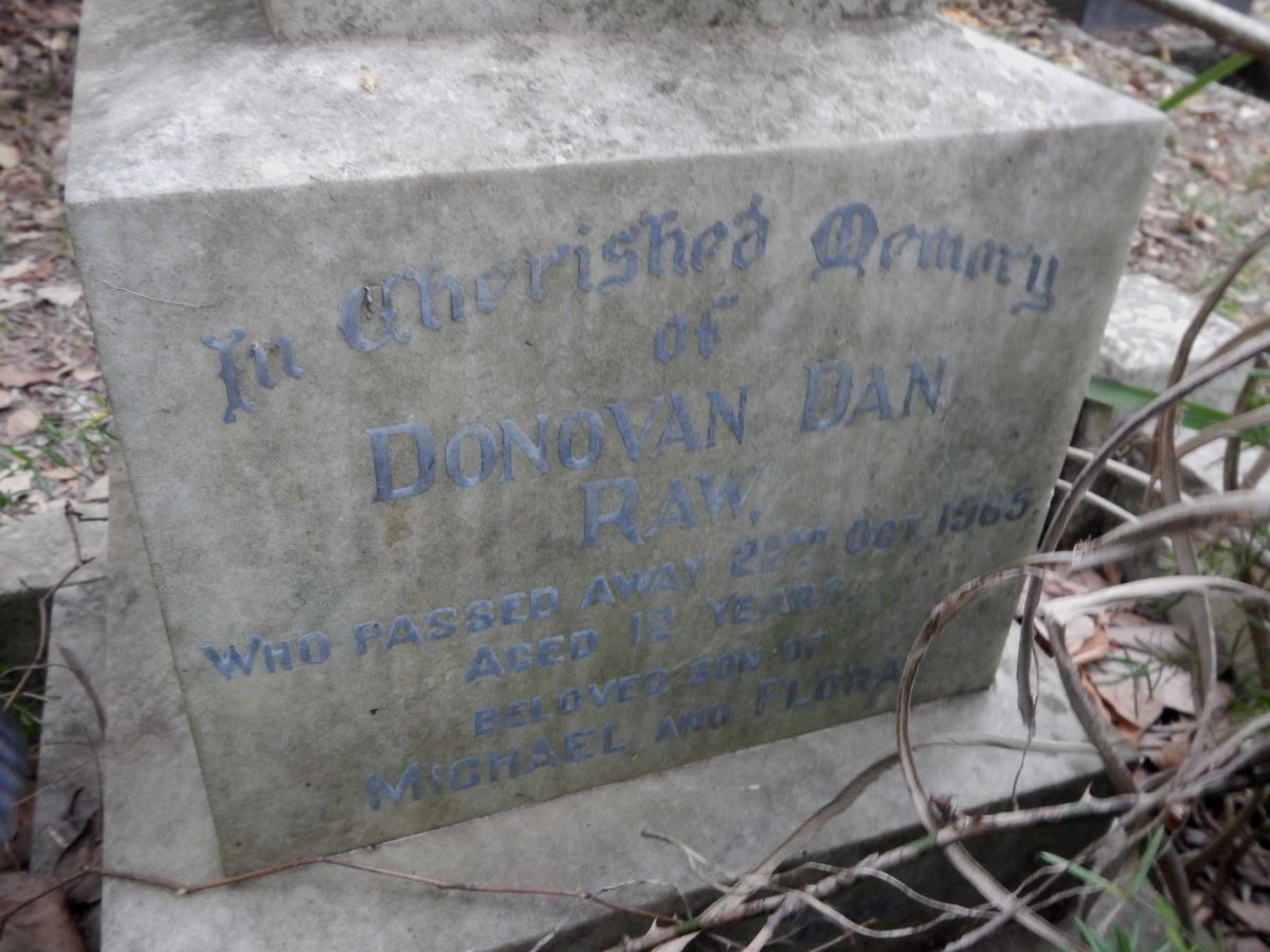 RAW Donovan Dan -1965