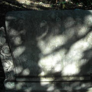 BUCKLE Percy Charles 1883-1954 & Dora Emily :: CAMERON William Burnett 1907-1994 & Verna BUCKLE 1920-1993