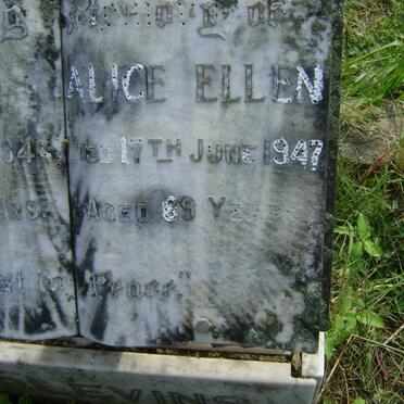 BLEVINS Alice Ellen - 1947