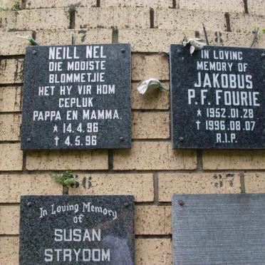 FOURIE :: NEL