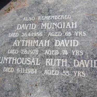 DAVID 