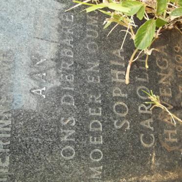 HAVENGA Johannes Maxemiliaan 1901-1970 & Sophia Carolina 1909-1976