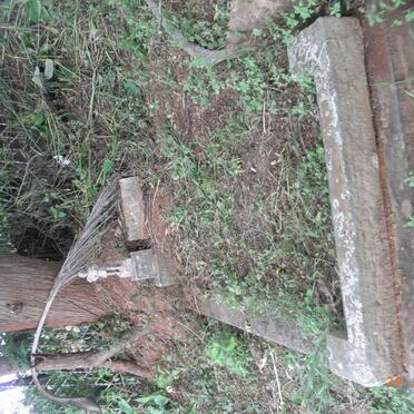 HARDING Patricia -1937 :: PUGIN Louis Desire Jules -1931