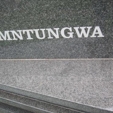 HAMILTON Vusumuzi 1958-2016