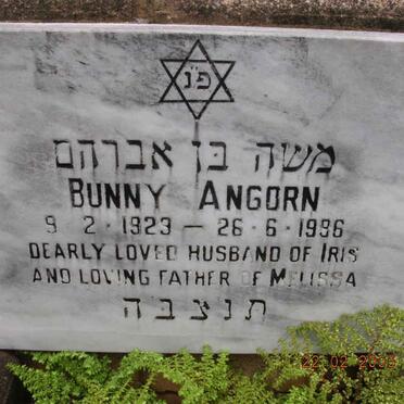 ANGORN Bunny 1929-1986
