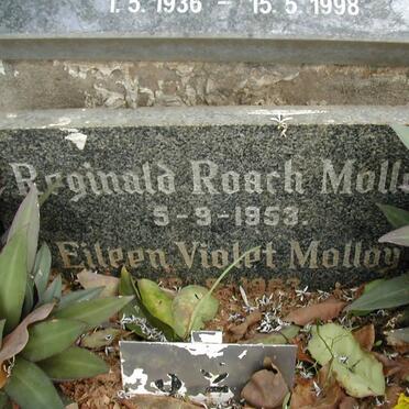 MOLLOY Reginald Roach -1953 :: MOLLOY Eileen Violet -1963
