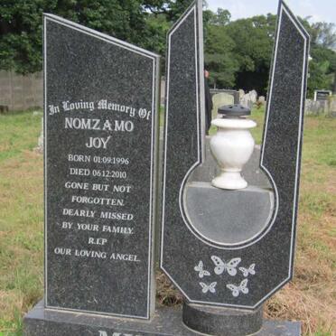 MKHIZE Nomzamo Joy 1996-2010
