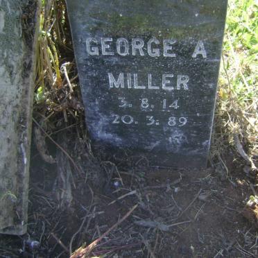MILLER George A. 1914-1989