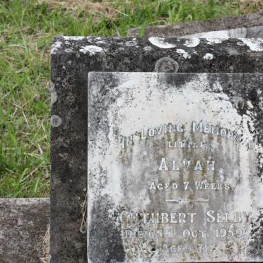 SELBY Cuthbert -1959 :: SELBY Alvah -1914