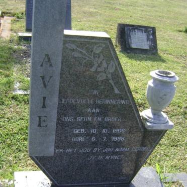 SCHOEMAN Avie 1966-1988