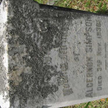 SIMPSON Pearl -1922 :: SIMPSON Algernon -1938 :: SIMPSON Harold Jellicoe Waddilove -1967 :: SIMPSON Johanna Adrianna -1965