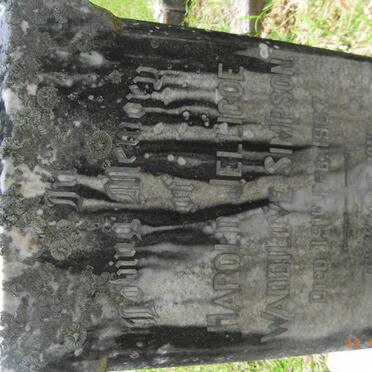 SIMPSON Pearl -1922 :: SIMPSON Algernon -1938 :: SIMPSON Harold Jellicoe Waddilove -1967 :: SIMPSON Johanna Adrianna -1965