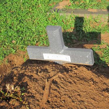 SHANGE Musa Robert 1958-2018