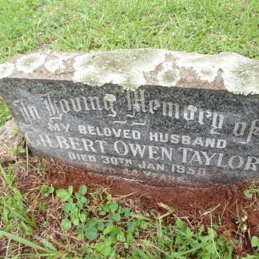 TAYLOR Gilbert Owen -1950