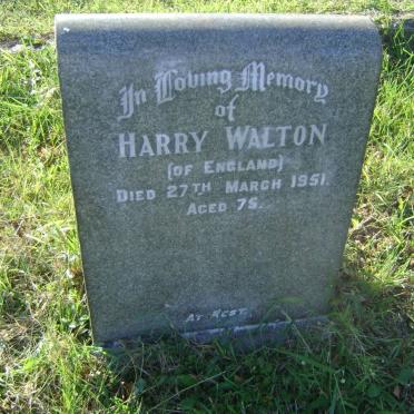 WALTON Harry -1951