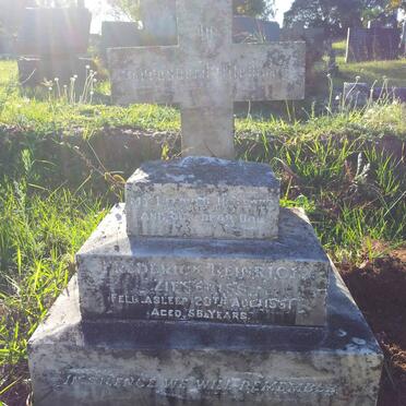 ZIESENISS Frederick Heinrich -1951