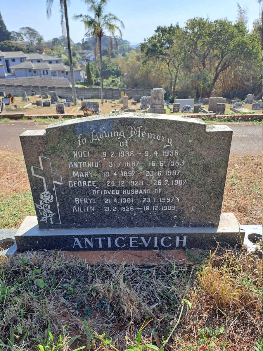 ANTICEVICH 