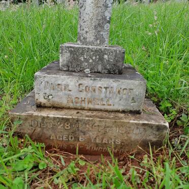 ASHWELL Avril Constance -1950