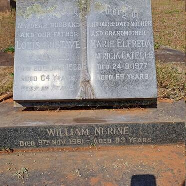 CATELLE Louis Gustave -1969 :: CATELLE Marie Elfreda Patricia -1977 :: NERINE William -1961