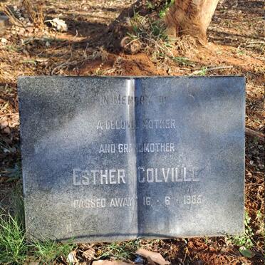 COLVILLE Esther -1985