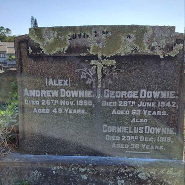 DOWNIE Andrew -1955 :: DOWNIE George -1942 :: DOWNIE Cornelius -1919