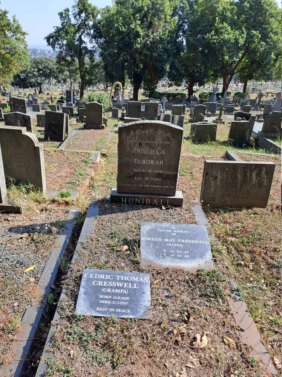 HONIBALL :: CRESSWELL _1