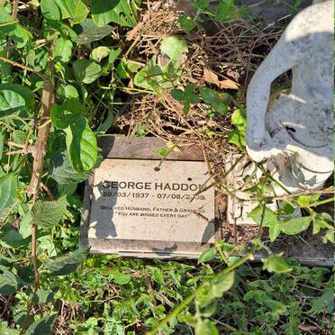HADDON George 1937-2009