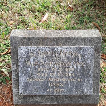 SCHWEGMANN Alf 1886-1964