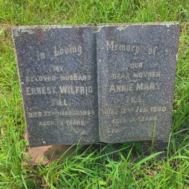 TILL Ernest Wilfrid -1954 & Annie Mary -1960