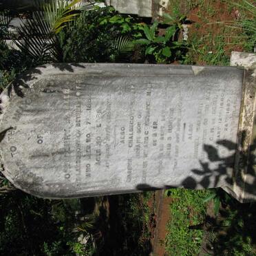 BEER John Henry, de -1882 :: DE BEER Granville Chaldecott -1888? :: DE BEER Muriel Waller 1880-1887