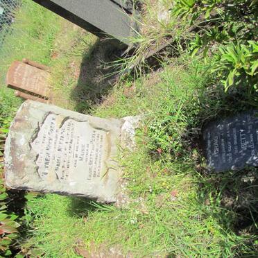 BROWN Mathew Hugh 1886-1935 &amp; Maisie MCKENZIE 1890-1956 :: BROWN Craig 1917-1998 :: BROWN Betty 1920-1977