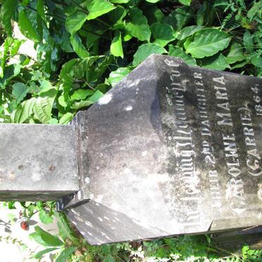 DACOMB Caroline Maria 1864-1925