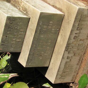 DYER :: HALSE :: ROYSTON :: SPRAGUE