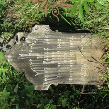 JAMES Thomas Payne 1822-1892