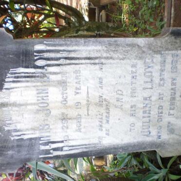 L - Vanne :: Surnames - L