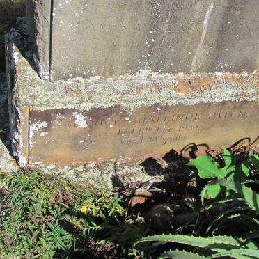 PATON Clarice Challinor -1950