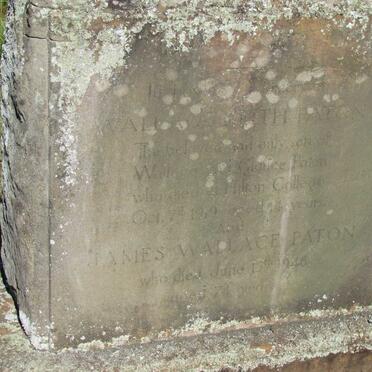 PATON Wallace Keith -1919 :: PATON James Wallace -1948 :: PATON Clarice Challinor -1950