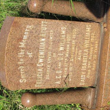 WILLIAMS Adolph George David 1875-1962 &amp; Daisy Isabella -1952 :: ACUTT Felicia Gwenllian nee WILLIAMS 1906-1930