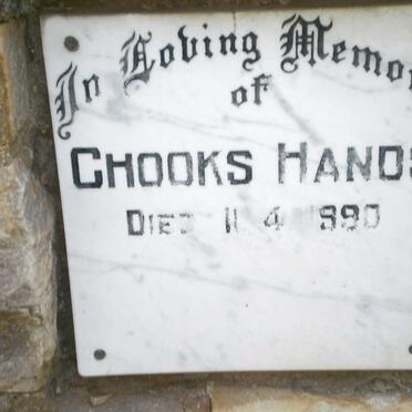 HANDS Chooks -1990