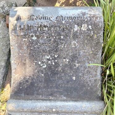 DYKES Philip Howchin -1923 & Hannah Mary -1938