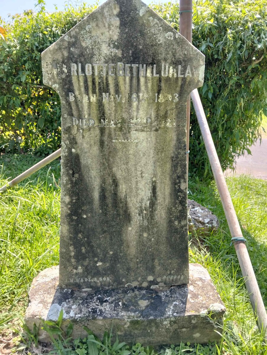 UMLAW Charlotte Bethel 1893-1921