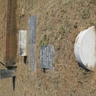 BISHOP Courteney Leonard -1951 &amp; Bessie Louise -1960 :: BISHOP Dorothy Mildred 1921-1991